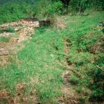 Jasminka S. (2000)  - Es ist wieder Frühling, auch wenn es nur noch Ruinen in unserem Dorf gibt. Auch unser Haus ist bis auf den Grund zerstört. Trotzdem bin ich von einem starken Wunsch nach Rückkehr in meine Heimat erfüllt.