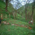 Selma M. (2000)  - Dieser Mann hat seinen Sohn 1995 verloren. Šacir, so heißt er, ist dieses Jahr als erster nach Srebrenica zurückgekehrt. Er möchte in der Nähe seines Sohnes leben und betet jeden Tag für ihn. Šacir ist leider nicht mehr unter den Lebenden.