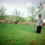 Vojka J.  (2000)  - Die Obstbäume habe ich vor dem Krieg gepflanzt.
