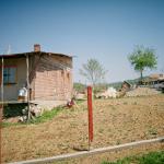 Jasminka S. (2005)  - Mein Haus - Sicherheit!