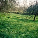 Selma M. (2005)  - Landschaften von meiner Terrasse aus fotografiert.  Die Bilder sind wichtig für mich, weil ich in MEINEM Haus stehe.
