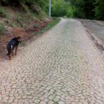 Svetlana J.  (2015)  - Everyday pedestrian in Srebrenica. 