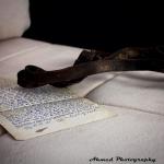 You (2015)  - This is a belt and letter from my grandfather who I never met. I even don’t know how he looked like, I don’t have a picture of him. This are the only two things that remind me of him. It is hard to never get to know your grandfather. Photo by Ahmed. Son of Amela 